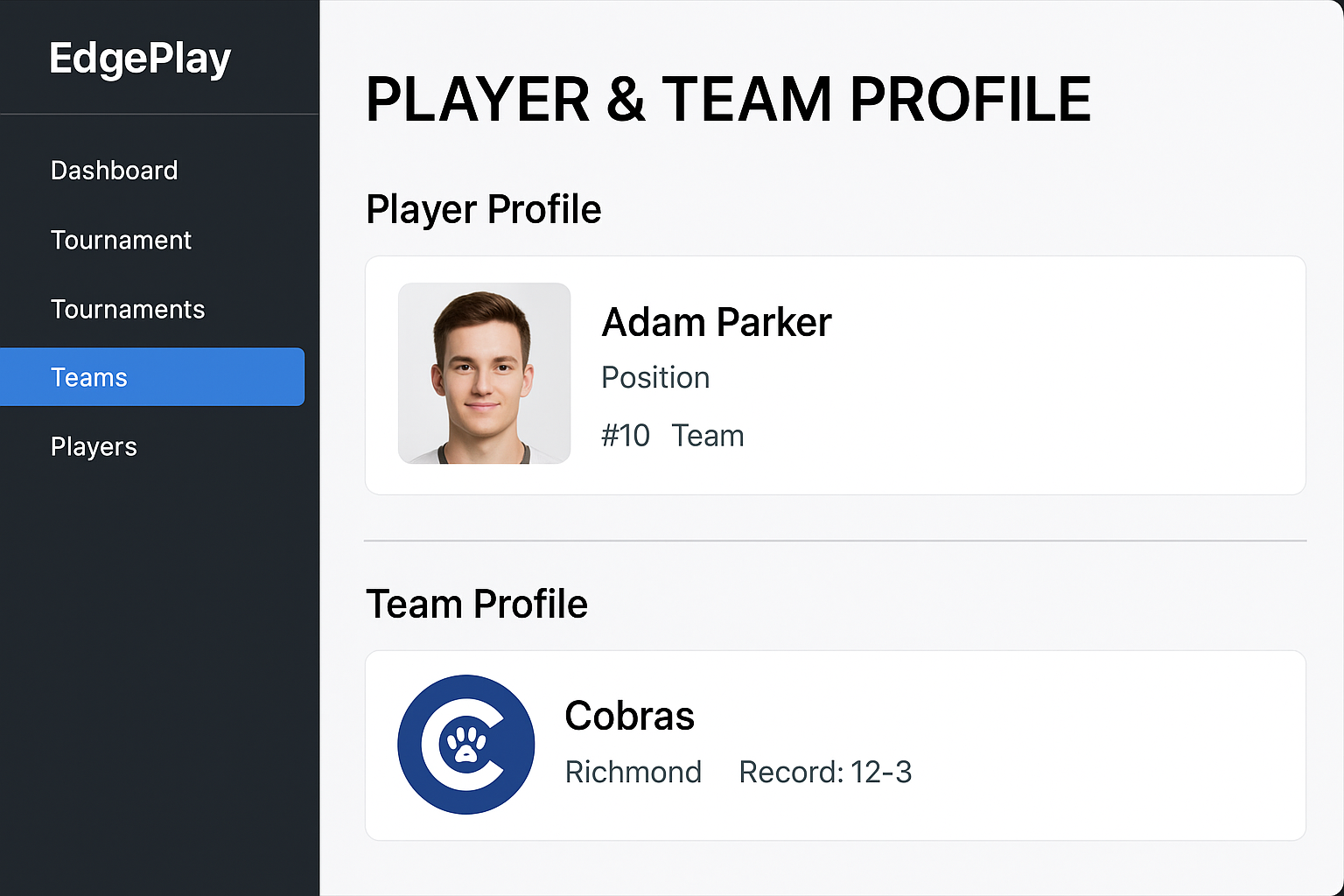 Player profile dashboard